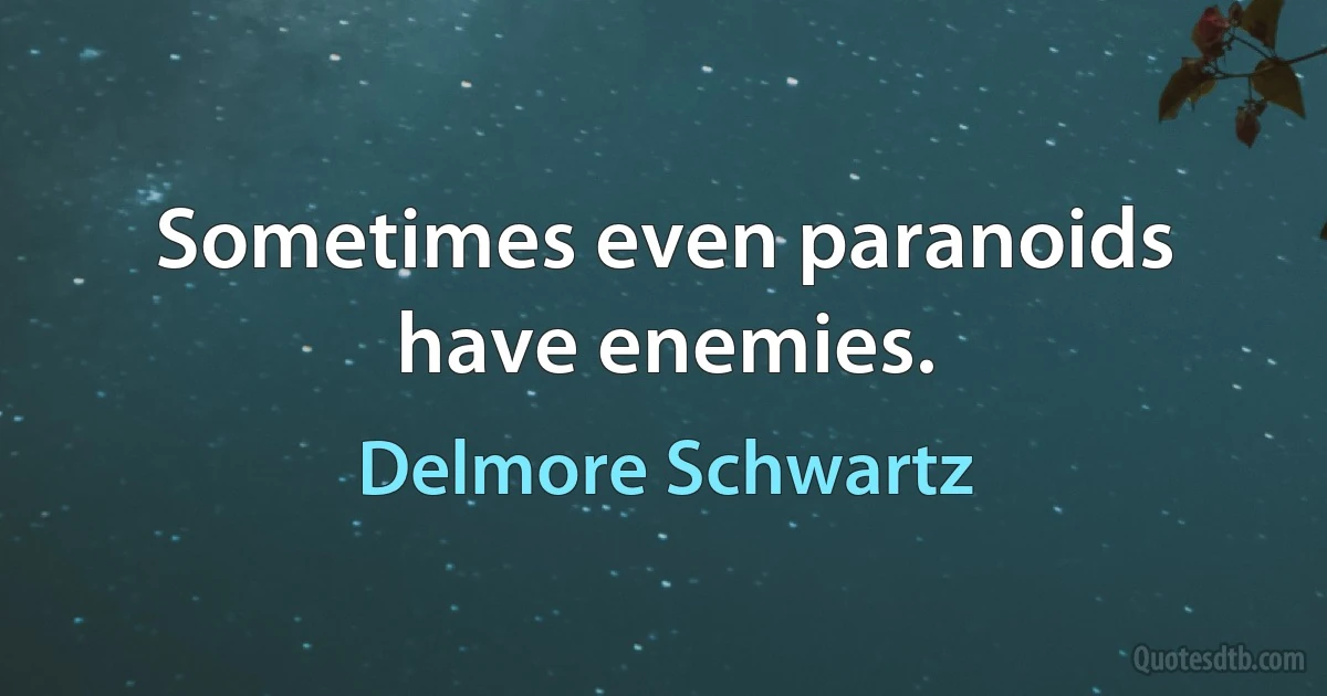 Sometimes even paranoids have enemies. (Delmore Schwartz)