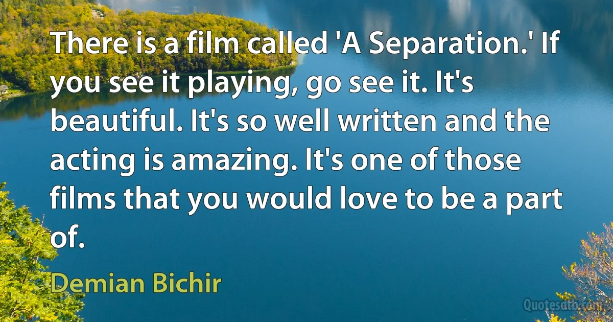 There is a film called 'A Separation.' If you see it playing, go see it. It's beautiful. It's so well written and the acting is amazing. It's one of those films that you would love to be a part of. (Demian Bichir)