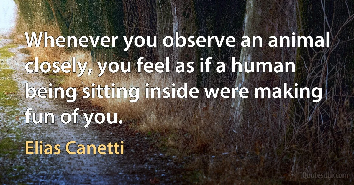 Whenever you observe an animal closely, you feel as if a human being sitting inside were making fun of you. (Elias Canetti)