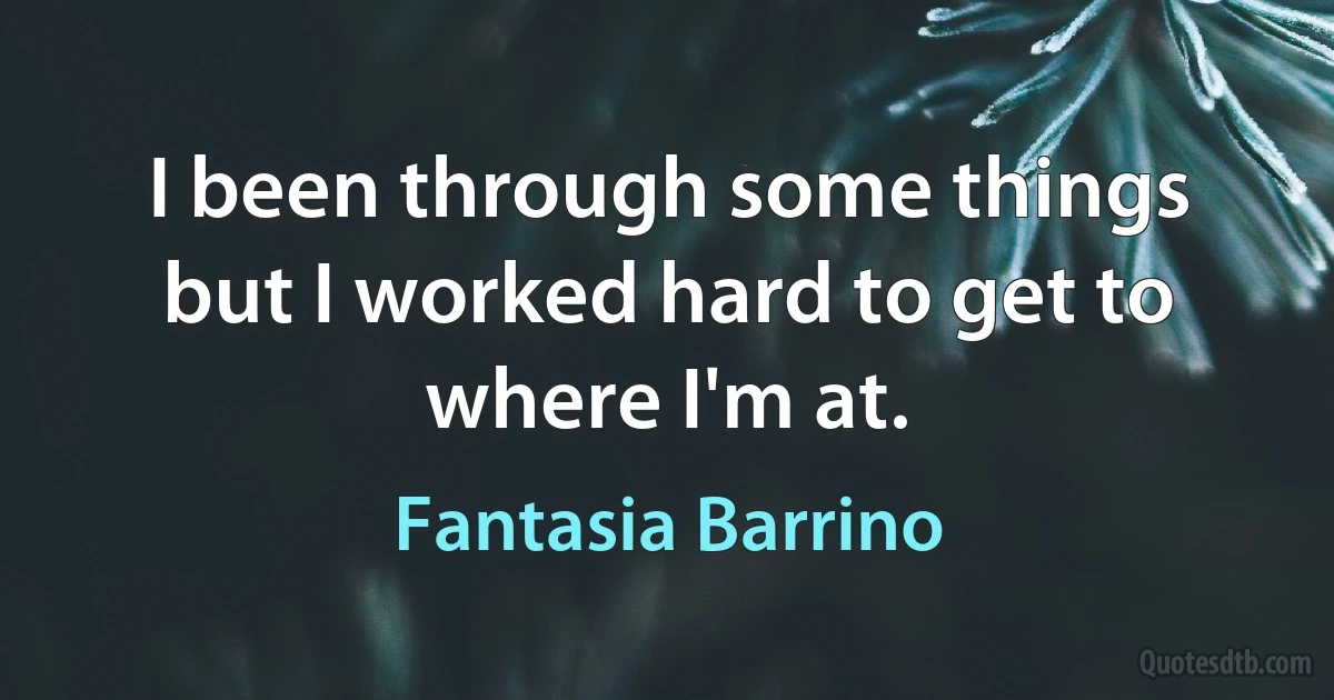 I been through some things but I worked hard to get to where I'm at. (Fantasia Barrino)