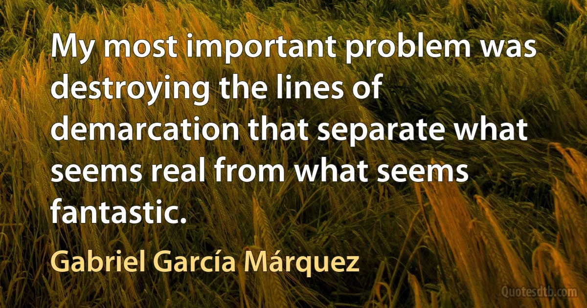 My most important problem was destroying the lines of demarcation that separate what seems real from what seems fantastic. (Gabriel García Márquez)