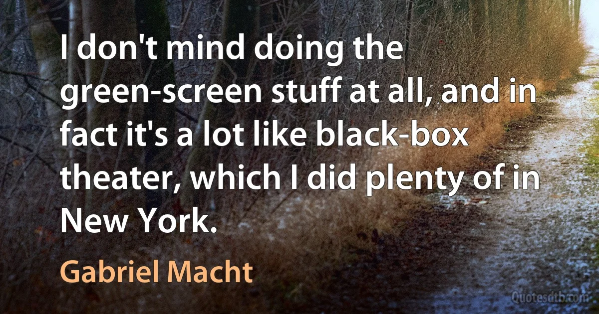 I don't mind doing the green-screen stuff at all, and in fact it's a lot like black-box theater, which I did plenty of in New York. (Gabriel Macht)