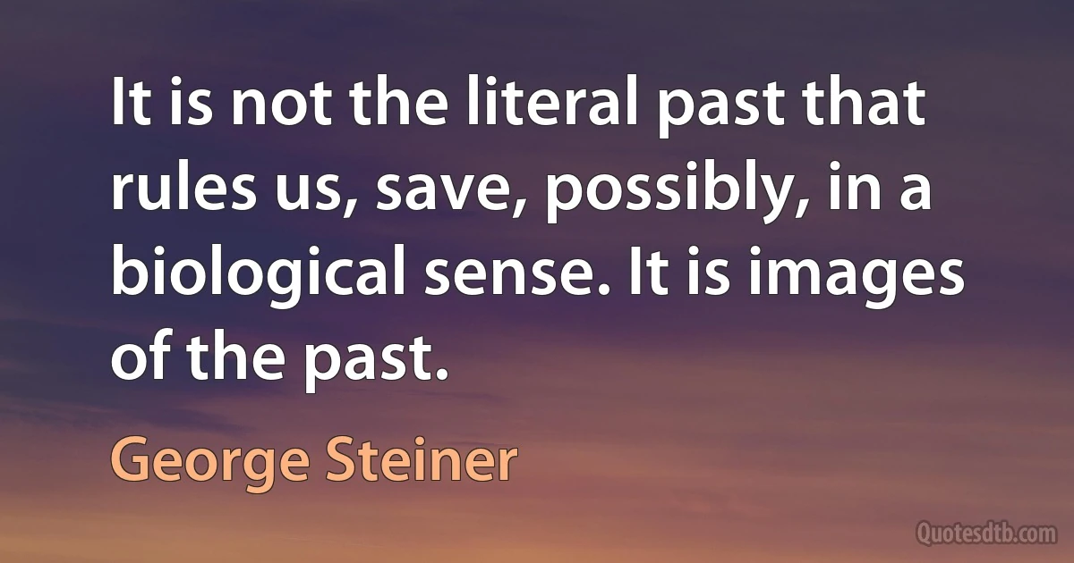 It is not the literal past that rules us, save, possibly, in a biological sense. It is images of the past. (George Steiner)