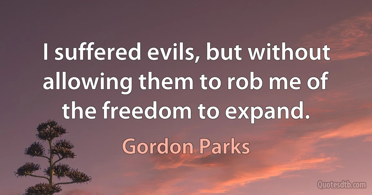 I suffered evils, but without allowing them to rob me of the freedom to expand. (Gordon Parks)