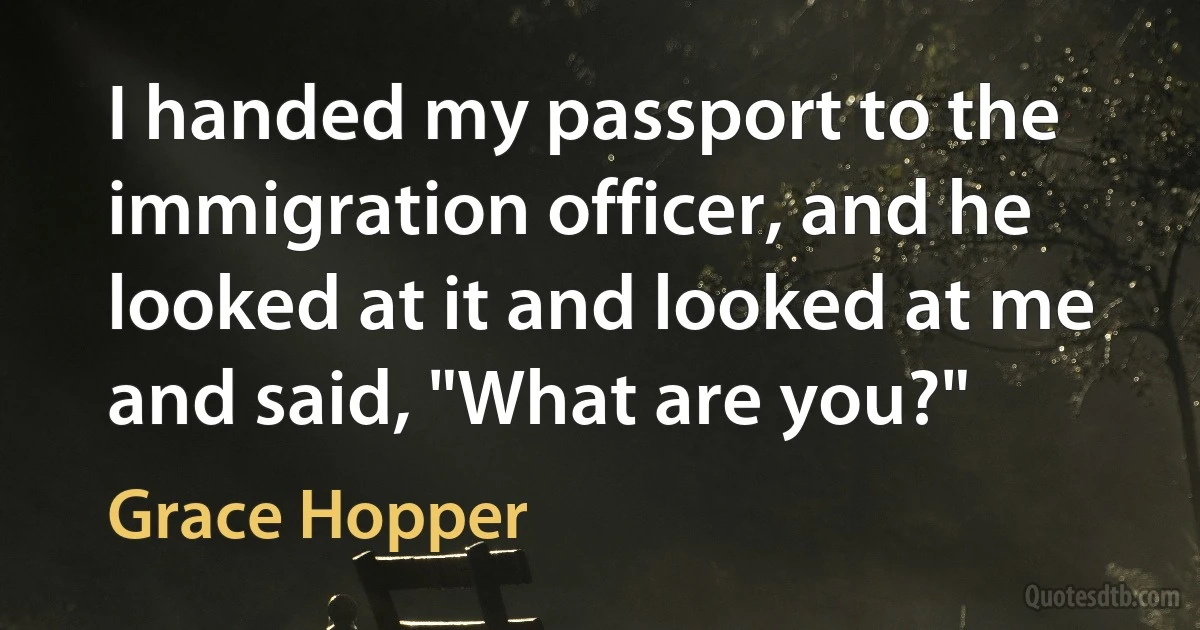 I handed my passport to the immigration officer, and he looked at it and looked at me and said, "What are you?" (Grace Hopper)