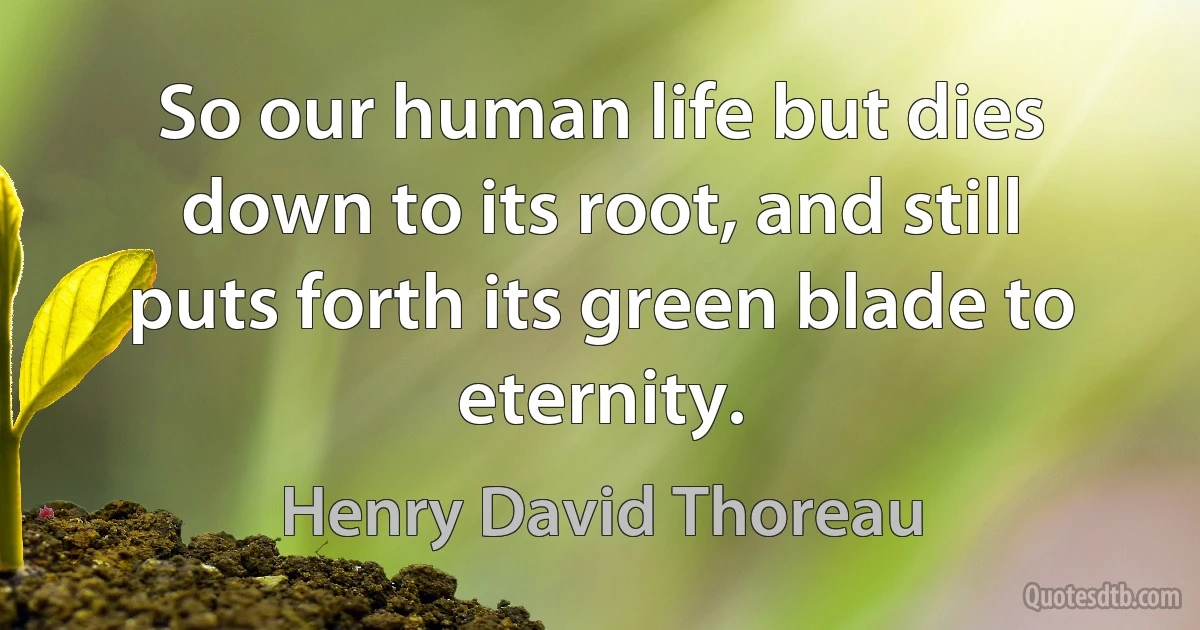 So our human life but dies down to its root, and still puts forth its green blade to eternity. (Henry David Thoreau)