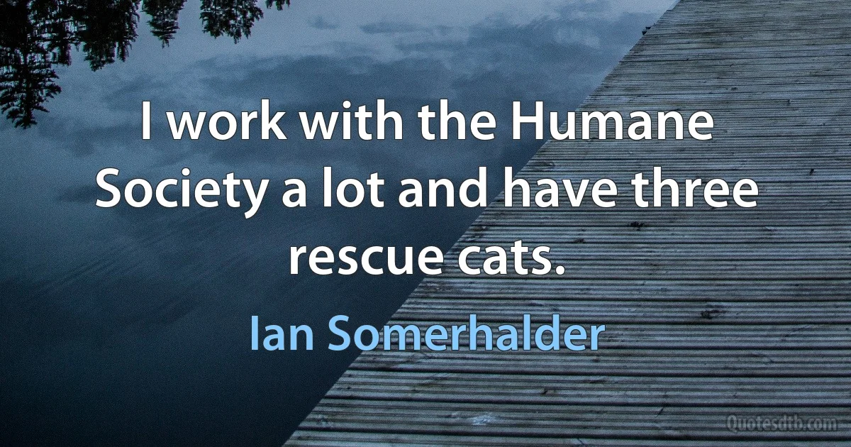 I work with the Humane Society a lot and have three rescue cats. (Ian Somerhalder)