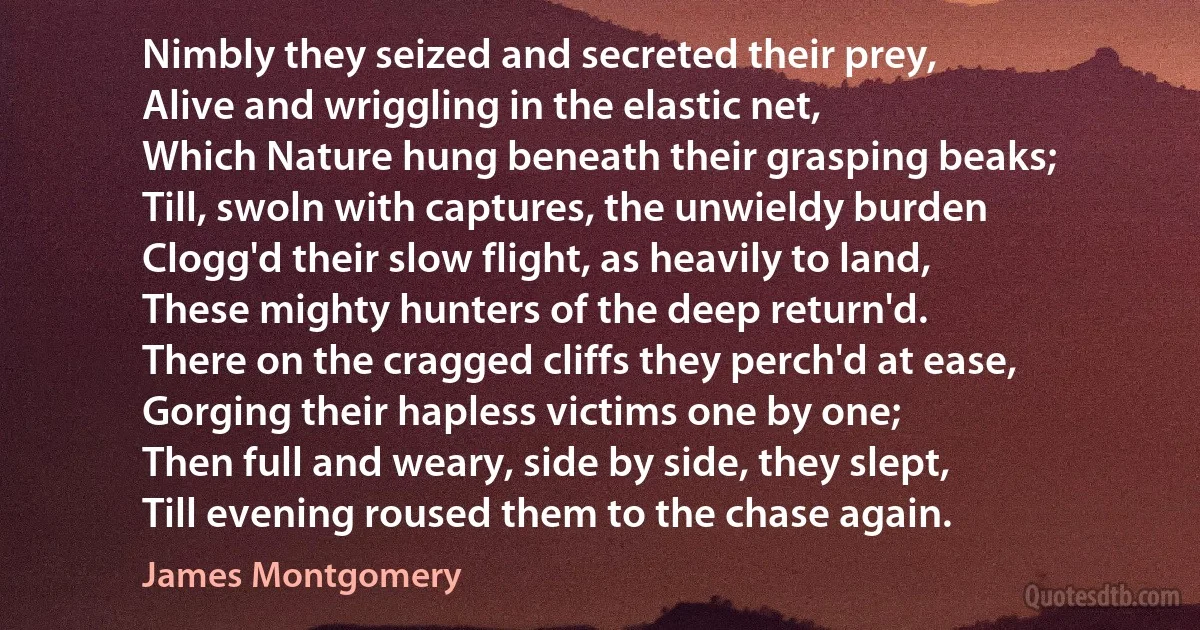 Nimbly they seized and secreted their prey,
Alive and wriggling in the elastic net,
Which Nature hung beneath their grasping beaks;
Till, swoln with captures, the unwieldy burden
Clogg'd their slow flight, as heavily to land,
These mighty hunters of the deep return'd.
There on the cragged cliffs they perch'd at ease,
Gorging their hapless victims one by one;
Then full and weary, side by side, they slept,
Till evening roused them to the chase again. (James Montgomery)