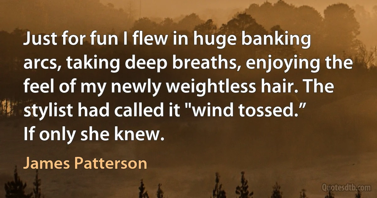 Just for fun I flew in huge banking arcs, taking deep breaths, enjoying the feel of my newly weightless hair. The stylist had called it "wind tossed.”
If only she knew. (James Patterson)