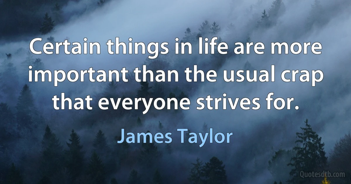 Certain things in life are more important than the usual crap that everyone strives for. (James Taylor)