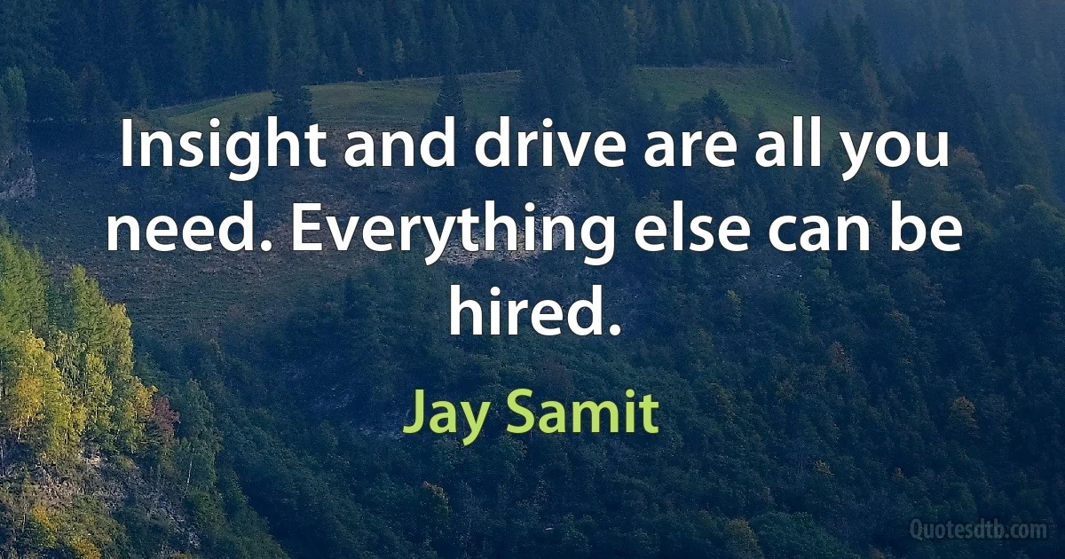 Insight and drive are all you need. Everything else can be hired. (Jay Samit)