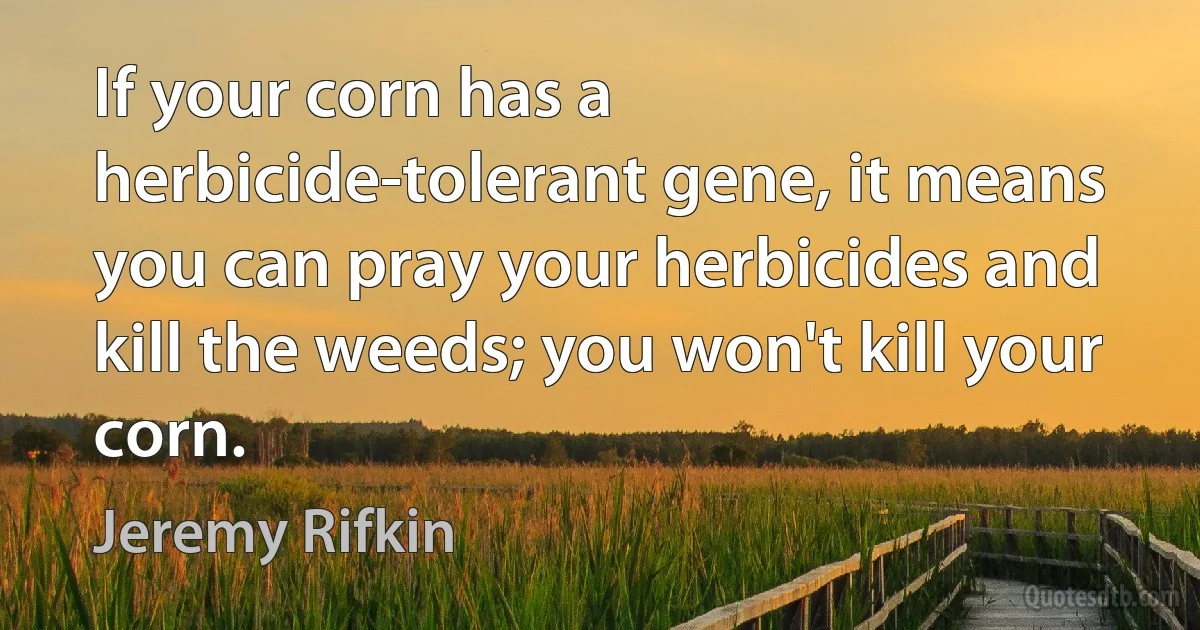 If your corn has a herbicide-tolerant gene, it means you can pray your herbicides and kill the weeds; you won't kill your corn. (Jeremy Rifkin)