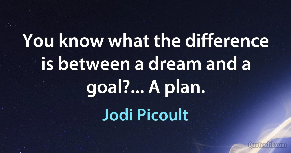 You know what the difference is between a dream and a goal?... A plan. (Jodi Picoult)