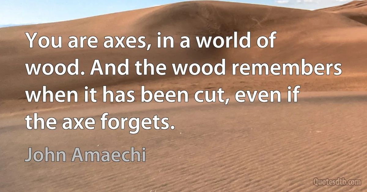 You are axes, in a world of wood. And the wood remembers when it has been cut, even if the axe forgets. (John Amaechi)