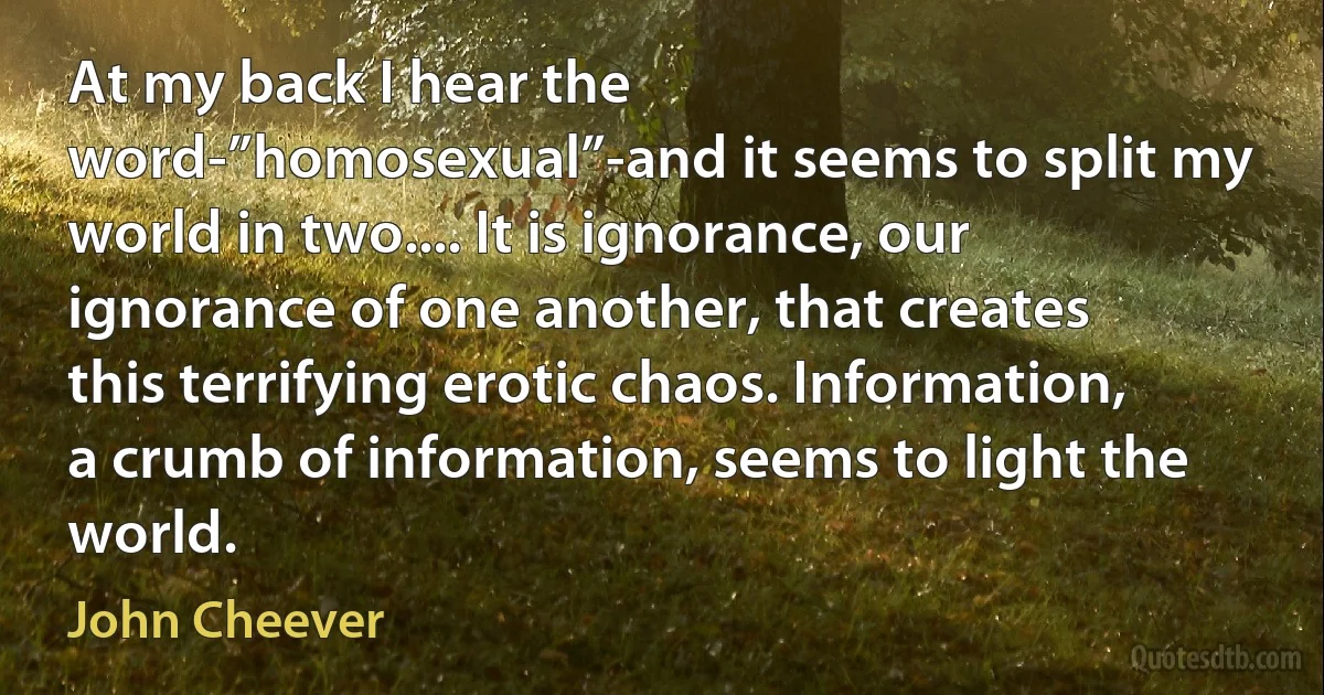 At my back I hear the word-”homosexual”-and it seems to split my world in two.... It is ignorance, our ignorance of one another, that creates this terrifying erotic chaos. Information, a crumb of information, seems to light the world. (John Cheever)