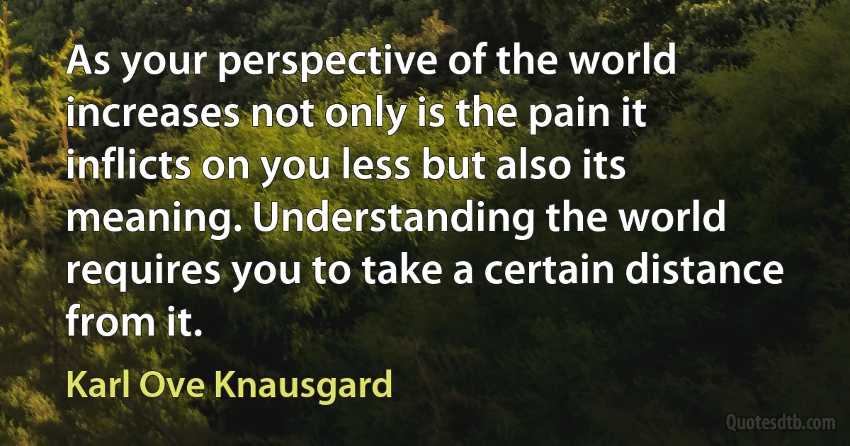 As your perspective of the world increases not only is the pain it inflicts on you less but also its meaning. Understanding the world requires you to take a certain distance from it. (Karl Ove Knausgard)