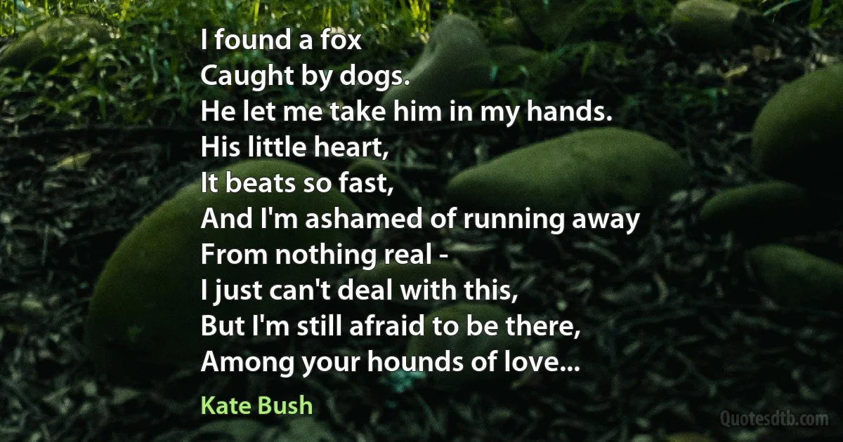 I found a fox
Caught by dogs.
He let me take him in my hands.
His little heart,
It beats so fast,
And I'm ashamed of running away
From nothing real -
I just can't deal with this,
But I'm still afraid to be there,
Among your hounds of love... (Kate Bush)