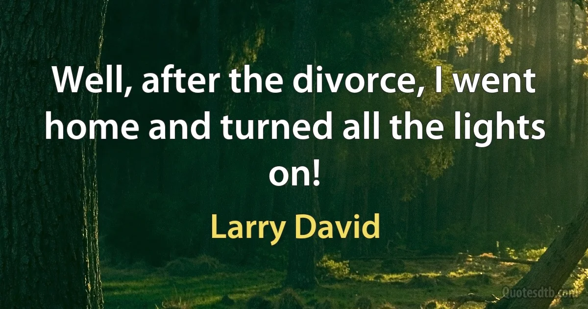 Well, after the divorce, I went home and turned all the lights on! (Larry David)