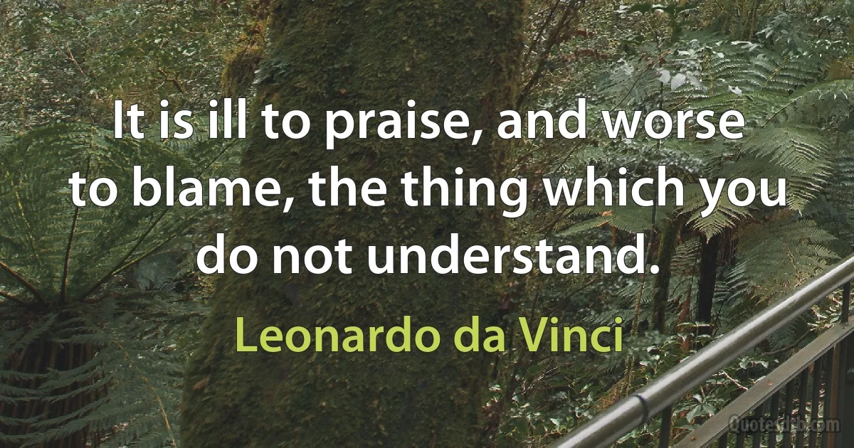 It is ill to praise, and worse to blame, the thing which you do not understand. (Leonardo da Vinci)