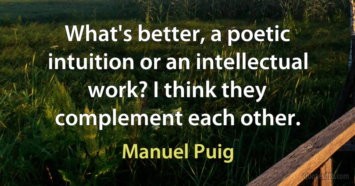 What's better, a poetic intuition or an intellectual work? I think they complement each other. (Manuel Puig)