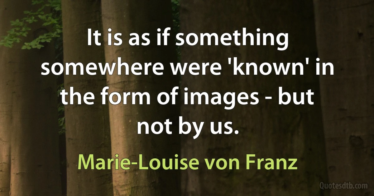 It is as if something somewhere were 'known' in the form of images - but not by us. (Marie-Louise von Franz)