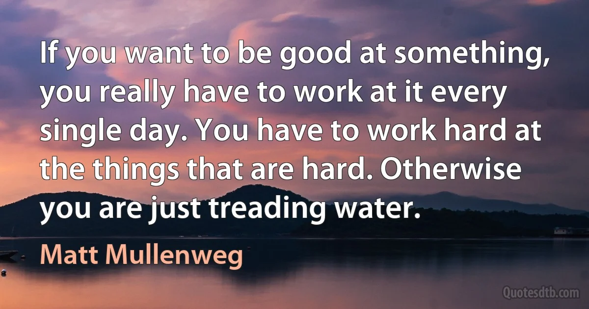 If you want to be good at something, you really have to work at it every single day. You have to work hard at the things that are hard. Otherwise you are just treading water. (Matt Mullenweg)