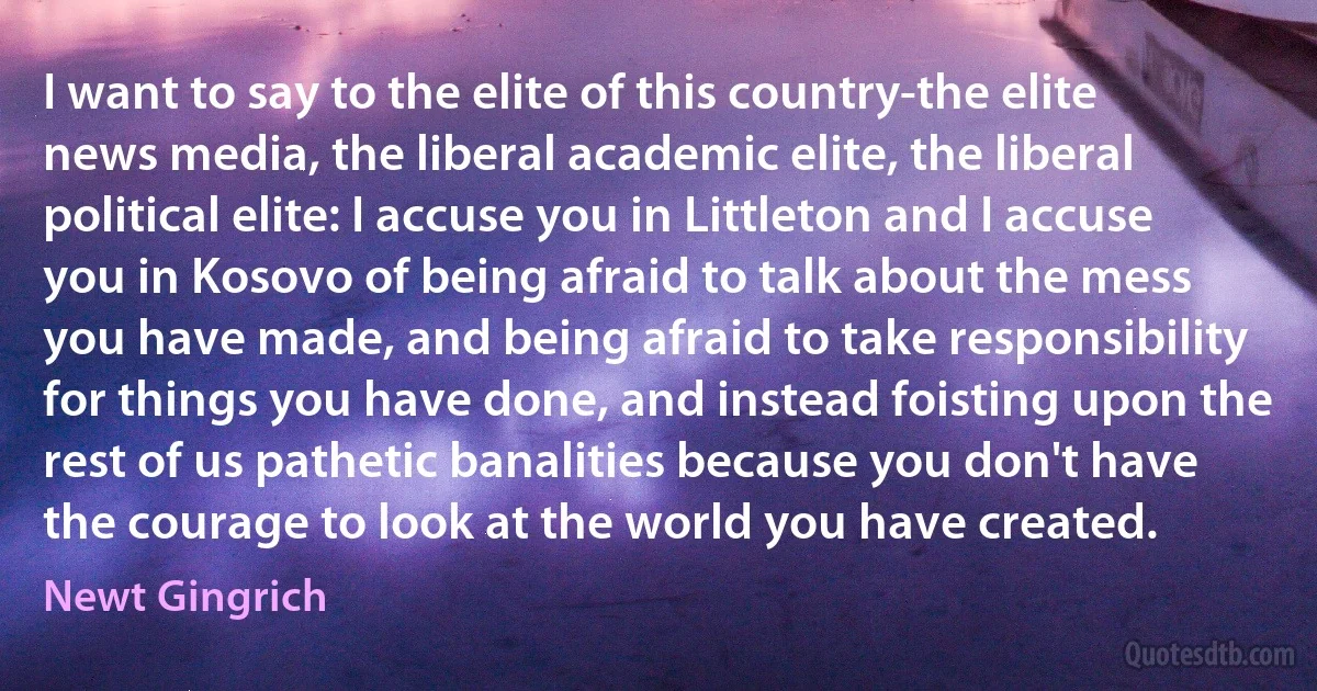 I want to say to the elite of this country-the elite news media, the liberal academic elite, the liberal political elite: I accuse you in Littleton and I accuse you in Kosovo of being afraid to talk about the mess you have made, and being afraid to take responsibility for things you have done, and instead foisting upon the rest of us pathetic banalities because you don't have the courage to look at the world you have created. (Newt Gingrich)