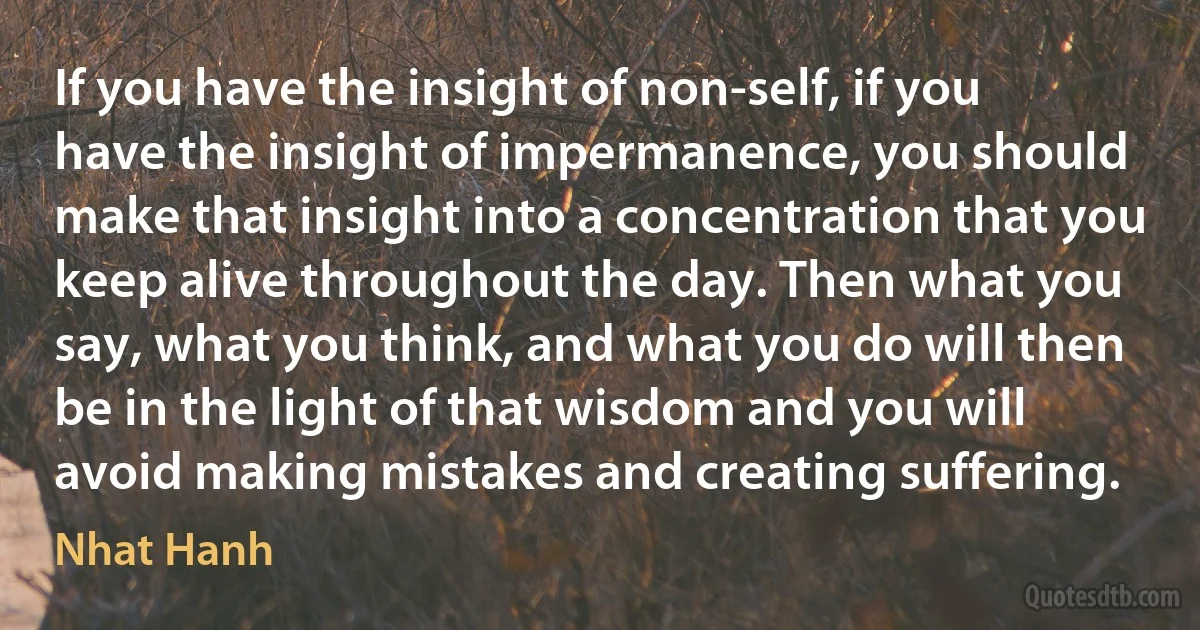 If you have the insight of non-self, if you have the insight of impermanence, you should make that insight into a concentration that you keep alive throughout the day. Then what you say, what you think, and what you do will then be in the light of that wisdom and you will avoid making mistakes and creating suffering. (Nhat Hanh)