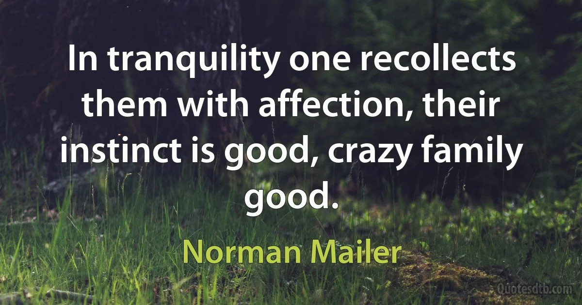 In tranquility one recollects them with affection, their instinct is good, crazy family good. (Norman Mailer)