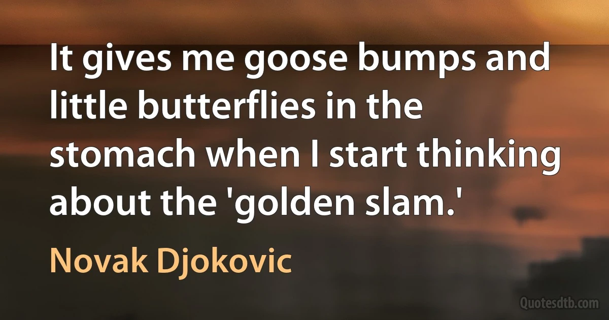 It gives me goose bumps and little butterflies in the stomach when I start thinking about the 'golden slam.' (Novak Djokovic)