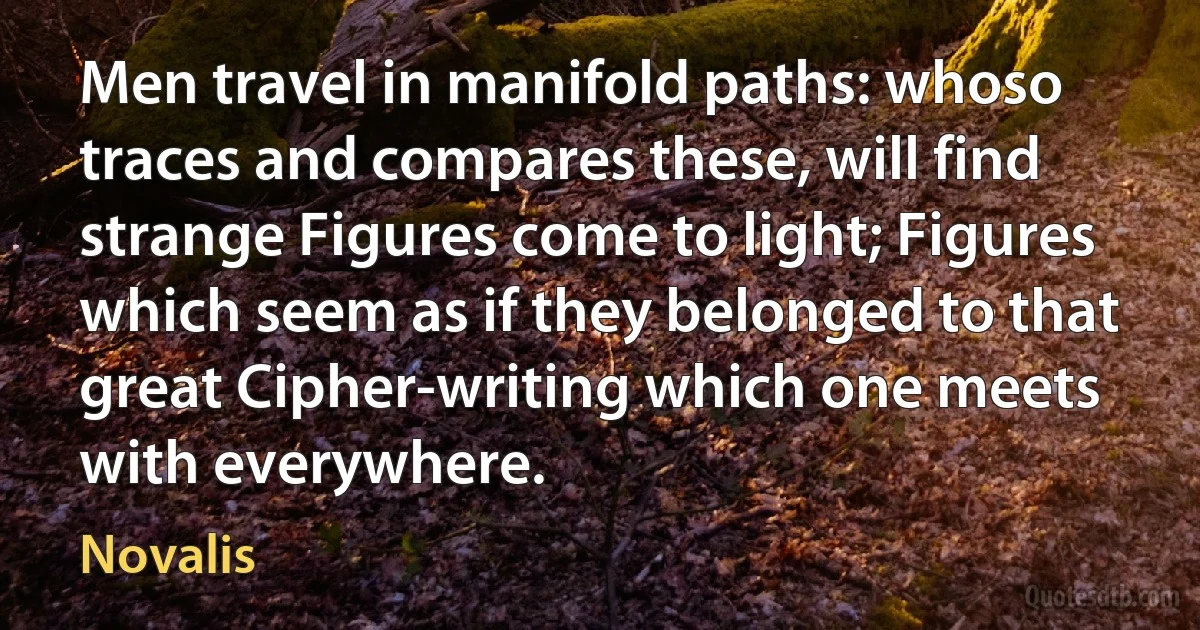 Men travel in manifold paths: whoso traces and compares these, will find strange Figures come to light; Figures which seem as if they belonged to that great Cipher-writing which one meets with everywhere. (Novalis)