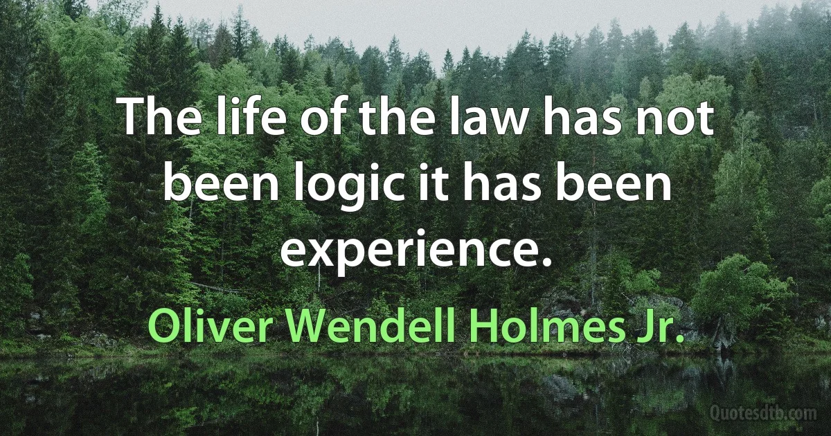 The life of the law has not been logic it has been experience. (Oliver Wendell Holmes Jr.)