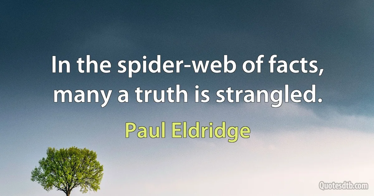 In the spider-web of facts, many a truth is strangled. (Paul Eldridge)