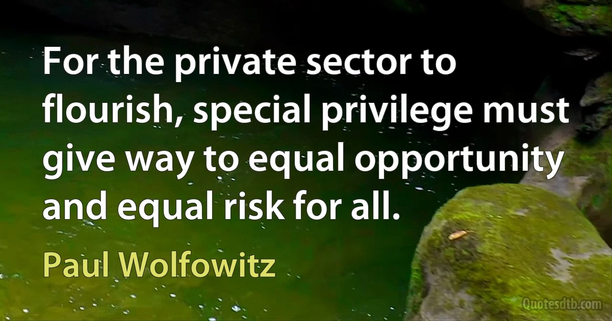 For the private sector to flourish, special privilege must give way to equal opportunity and equal risk for all. (Paul Wolfowitz)