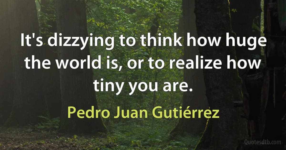 It's dizzying to think how huge the world is, or to realize how tiny you are. (Pedro Juan Gutiérrez)