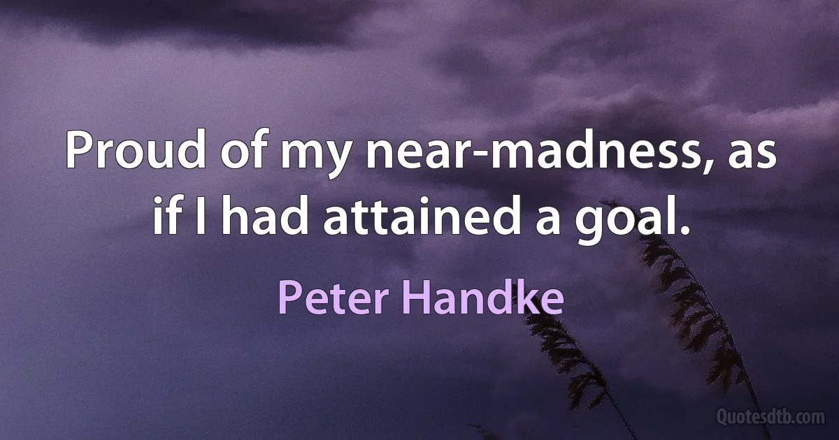 Proud of my near-madness, as if I had attained a goal. (Peter Handke)