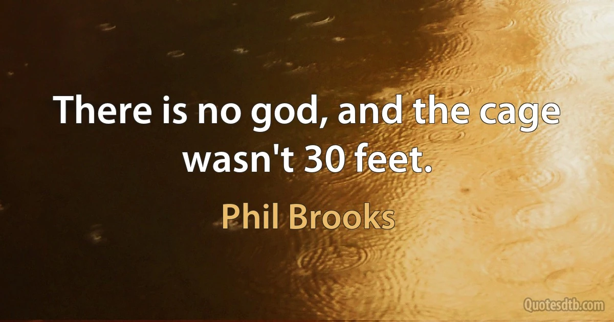 There is no god, and the cage wasn't 30 feet. (Phil Brooks)