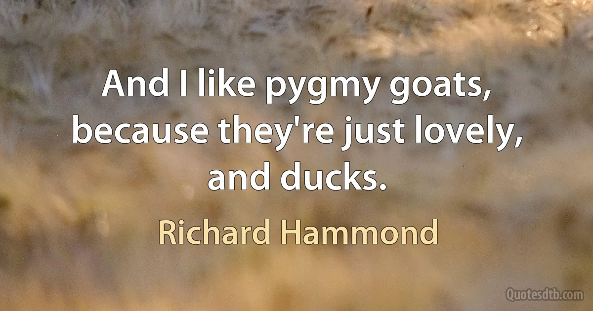 And I like pygmy goats, because they're just lovely, and ducks. (Richard Hammond)