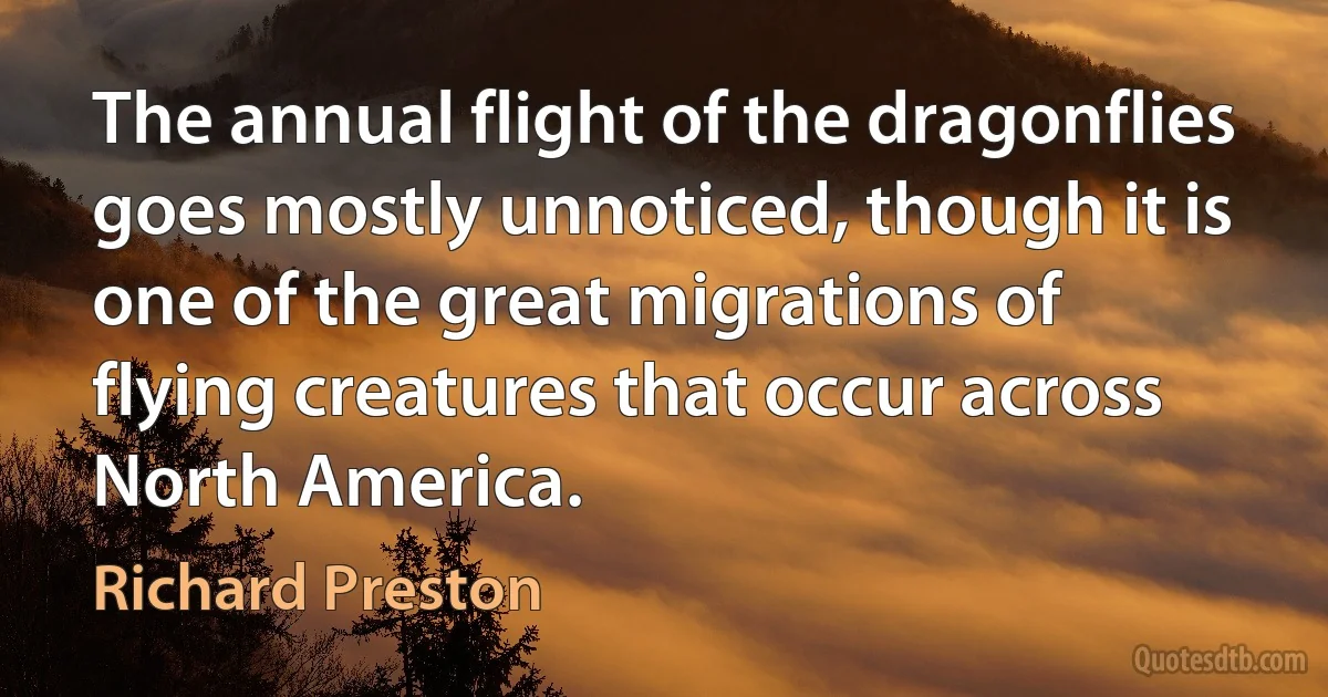 The annual flight of the dragonflies goes mostly unnoticed, though it is one of the great migrations of flying creatures that occur across North America. (Richard Preston)