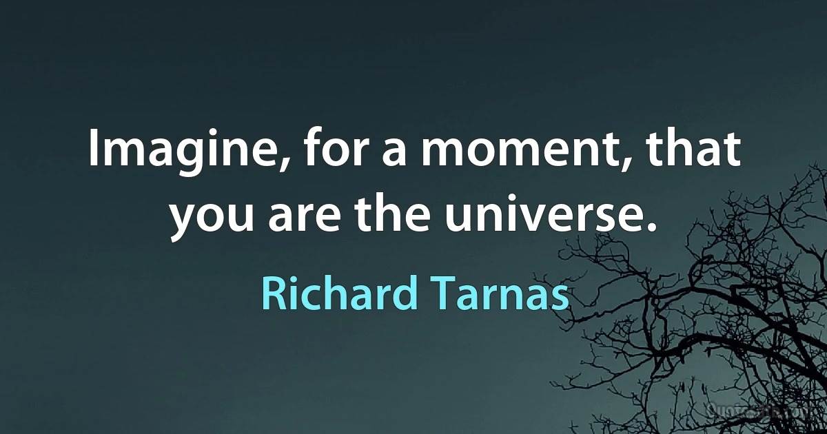 Imagine, for a moment, that you are the universe. (Richard Tarnas)