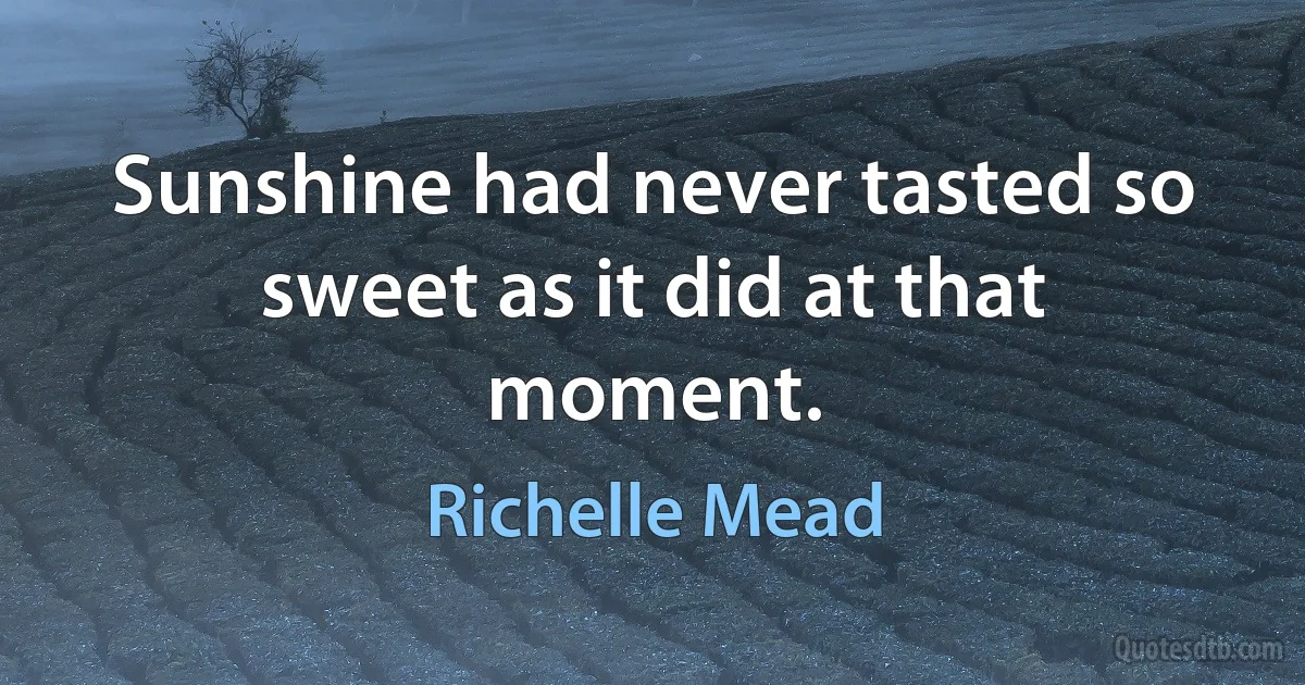 Sunshine had never tasted so sweet as it did at that moment. (Richelle Mead)