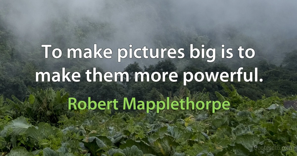 To make pictures big is to make them more powerful. (Robert Mapplethorpe)