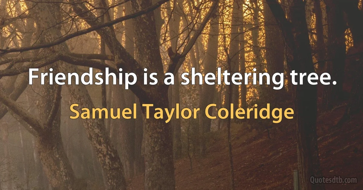 Friendship is a sheltering tree. (Samuel Taylor Coleridge)