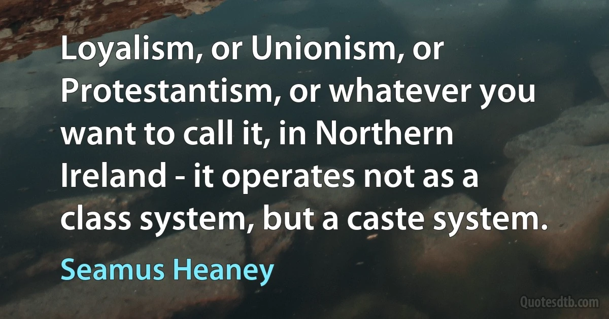 Loyalism, or Unionism, or Protestantism, or whatever you want to call it, in Northern Ireland - it operates not as a class system, but a caste system. (Seamus Heaney)