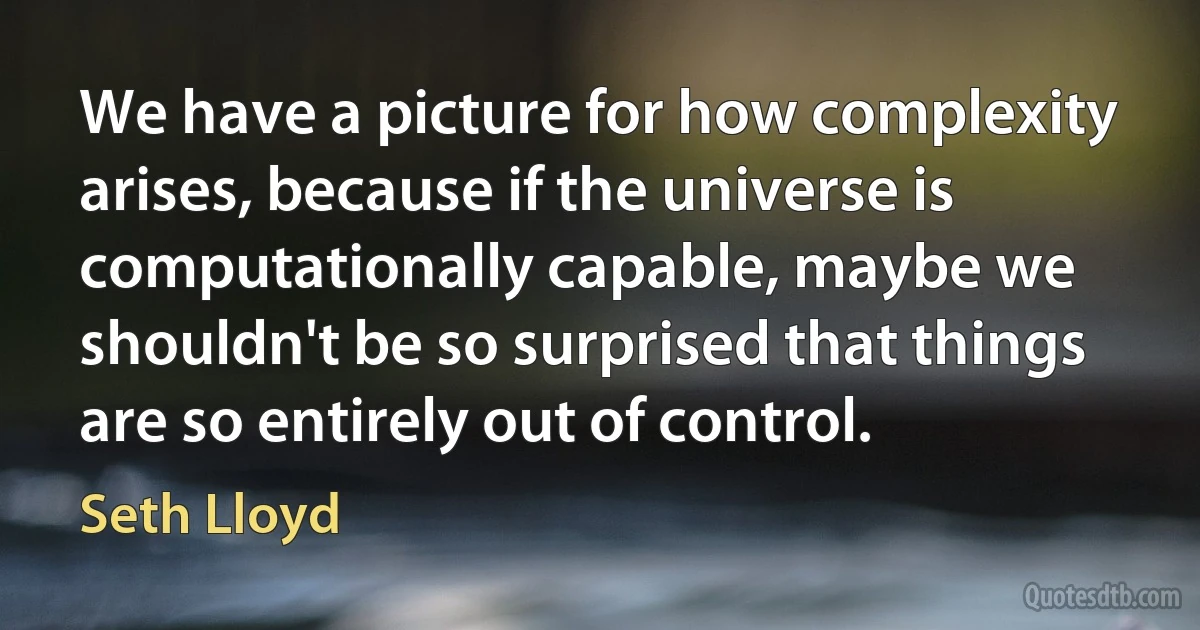 We have a picture for how complexity arises, because if the universe is computationally capable, maybe we shouldn't be so surprised that things are so entirely out of control. (Seth Lloyd)