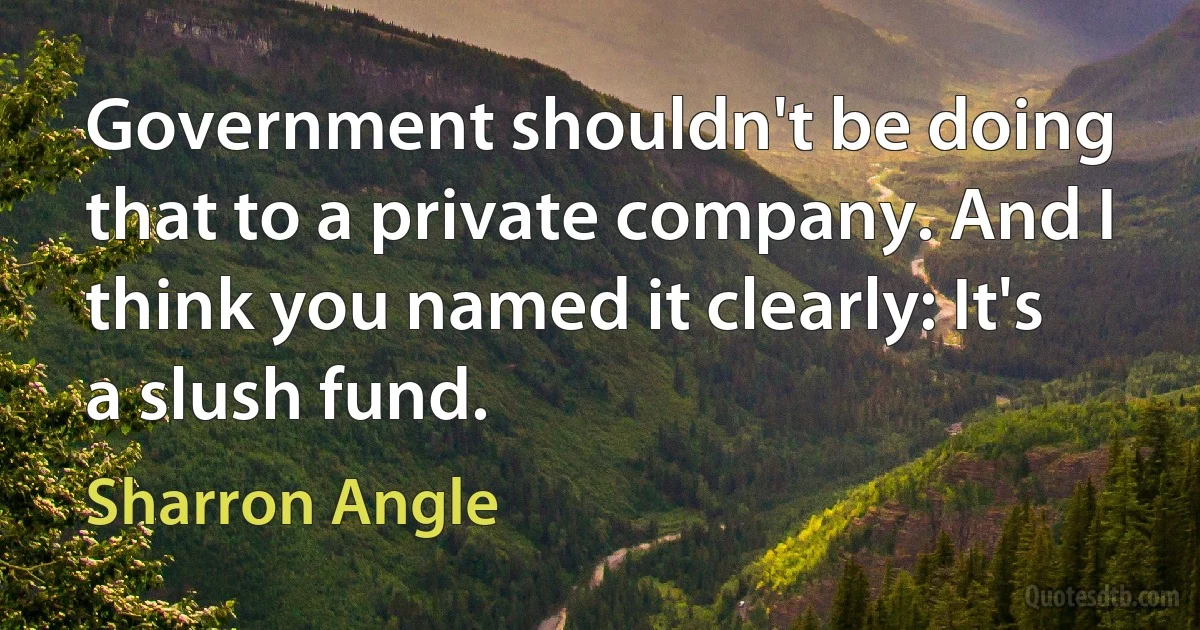 Government shouldn't be doing that to a private company. And I think you named it clearly: It's a slush fund. (Sharron Angle)