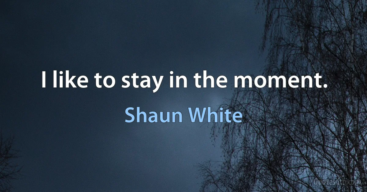 I like to stay in the moment. (Shaun White)