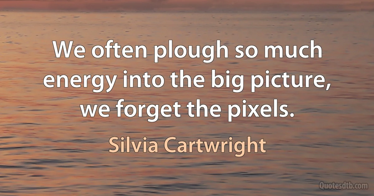 We often plough so much energy into the big picture, we forget the pixels. (Silvia Cartwright)