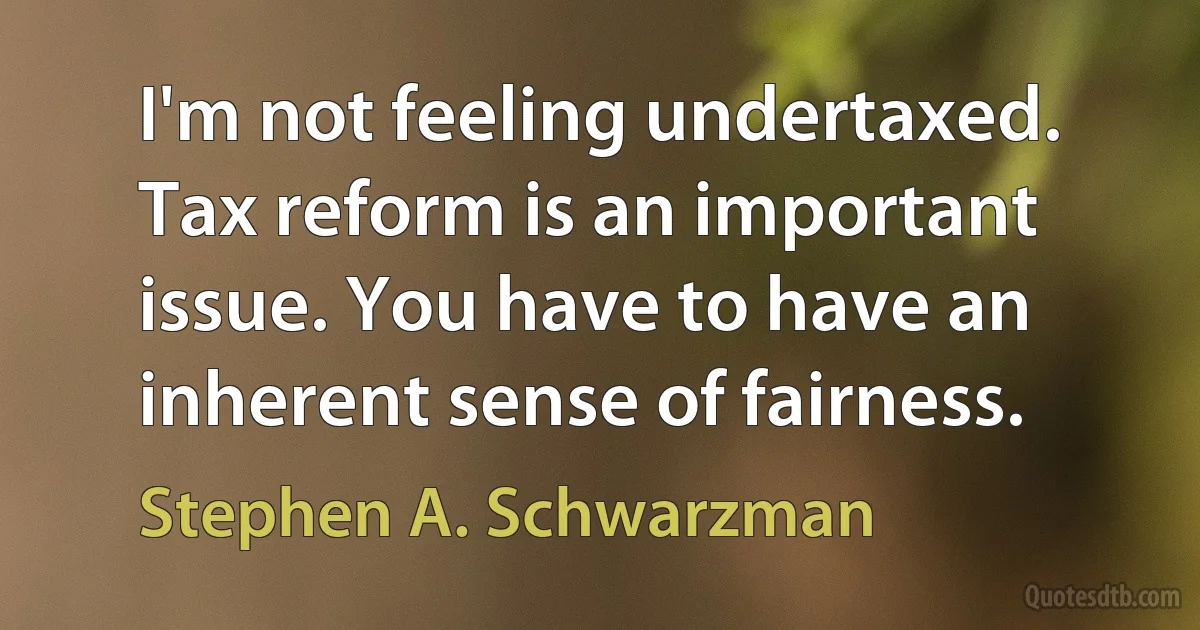 I'm not feeling undertaxed. Tax reform is an important issue. You have to have an inherent sense of fairness. (Stephen A. Schwarzman)