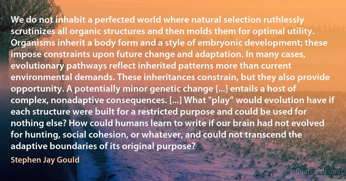 We do not inhabit a perfected world where natural selection ruthlessly scrutinizes all organic structures and then molds them for optimal utility. Organisms inherit a body form and a style of embryonic development; these impose constraints upon future change and adaptation. In many cases, evolutionary pathways reflect inherited patterns more than current environmental demands. These inheritances constrain, but they also provide opportunity. A potentially minor genetic change [...] entails a host of complex, nonadaptive consequences. [...] What "play” would evolution have if each structure were built for a restricted purpose and could be used for nothing else? How could humans learn to write if our brain had not evolved for hunting, social cohesion, or whatever, and could not transcend the adaptive boundaries of its original purpose? (Stephen Jay Gould)